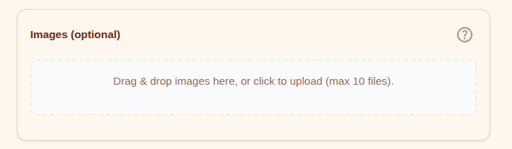 Screenshot of the image upload section